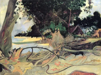 The Hibiscus Tree